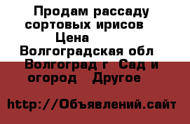 Продам рассаду сортовых ирисов  › Цена ­ 300 - Волгоградская обл., Волгоград г. Сад и огород » Другое   